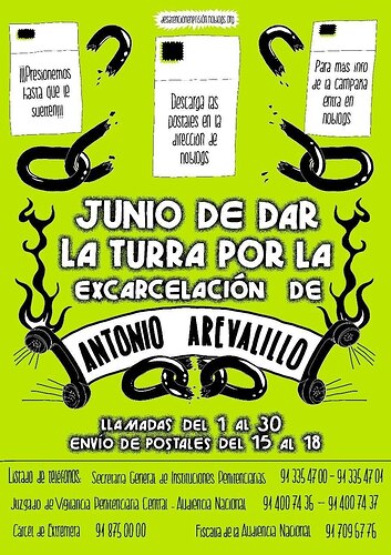 TurraJunioVerde